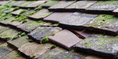 Axbridge roof repair costs
